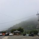 밀양시(상동교) 네이버블로그