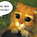 행신동물병원 이미지