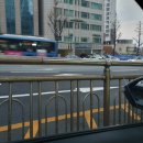 블랙모터스 이미지