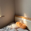 신바람화장품 | 엉덩이 미백 관리 피부톤 밝아진 리얼 후기