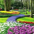 마곡제일공인중개사사무소 이미지