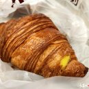 빵나무 이야기 이미지