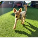 아이조아 요양보호소 경기광주 이미지