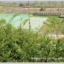 산빛 근린공원 이미지