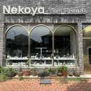 [다이음] 티하우스에서 홍차와의 만남 | 제주애월카페 네꼬야티하우스 제주애프터눈티 후기