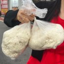 콩밭 뜰 | 파주한정식 심학산맛집 심학산한정식 서패동맛집 파주두부맛집 콩밭뜰 심학산점 후기