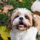 로얄동물메디컬센터 본원 이미지