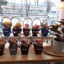 서상동124 이미지