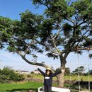 용수길 114 이미지