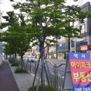 약사부동산중개사무소 이미지