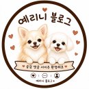 금곡대로 | 미용실 유목민 드디어 정착할 수 있는 "박승철헤어스투디오 화명 롯데 카이저점" 지안 부원장님 솔직 후기