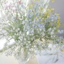 파스텔프라자 이미지