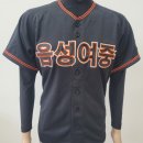 음성여자중학교