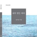 시집 Daum카페