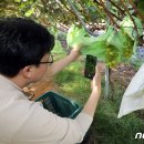 이수민농장 이미지