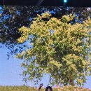 울주피크닉콘서트 <유월음악회> 이미지