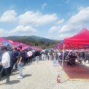 장안산 봄나물 축제 이미지