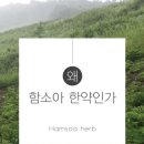 원주함소아한의원