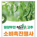 맛나 뉴시스