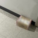 히포케이크 | 에이블리 디저트 팝업: "히포 디저트" 저당에 떠먹는 케이크면 못 참지 '내돈내산' 구매 후기