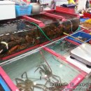 일성상회 이미지