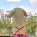 애견패션제작 이미지