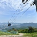 디지털카플라자 | 평창여행지 추천 발왕산 관광케이블카 ㅣ 디지털관광주민증으로 요금 할인받기!