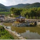뒷골천 국제뉴스