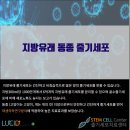 24시루시드동물메디컬센터 이미지