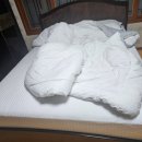 매일 밤 호텔 스위트룸에서 잠드는 기분! 코앤코 고밀도 순면 침구 찐 후기!