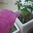 무동농장 이미지