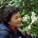 산들바다 이미지