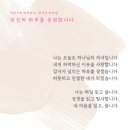 지혜의빛 | 이벤트+내면의 빛을 찾기 위한 지혜의 조각들