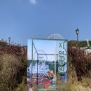 2021024 | 2021024 @ 용인 에버랜드 할로윈 축제 기간 후기