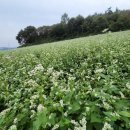 강운식당 이미지