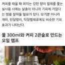 커피찌커기로 천연 방충 램프 만들기 이미지