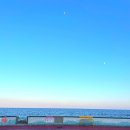 오릿(Orit) 이미지