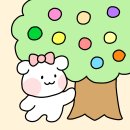 욕망의 열매 이미지