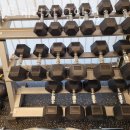 스쿼트게러지 이미지