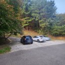 대추나무민박 | [산청] 고운동천_251031(금)~251101(토)