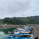 애플펜션 | 거제 칠천도 배낚시 블루애플펜션 고등어랑 낙지 잡았던 일상