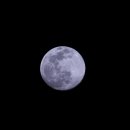 달 - 보성군 충의로 216 | 달