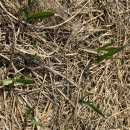 만산농장 이미지