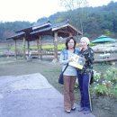 산상의들국화향기