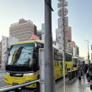 삼 보 | [일본 오사카 여행기 2일차] 교토 버스투어, 그리고 하루 3만보