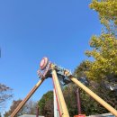 티랜드 | 에버랜드 평일 오픈런 후기 + 사파리, 티익스프레스 대기시간