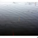 신촌낚시터 이미지