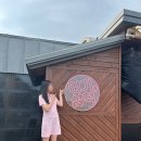 염색에 반하다 이미지