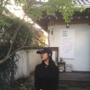 데구르르 이미지