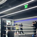 대동복싱 이미지